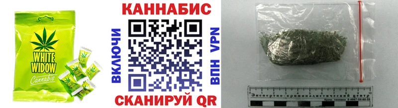 blacksprut tor  маркетплейс официальный сайт  Рошаль  Cannafood марихуана  сколько стоит 