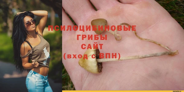 MESCALINE Заводоуковск