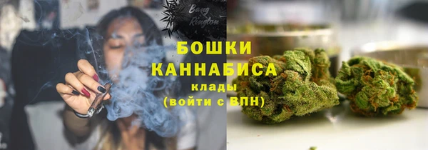 прущие крисы Щёлкино