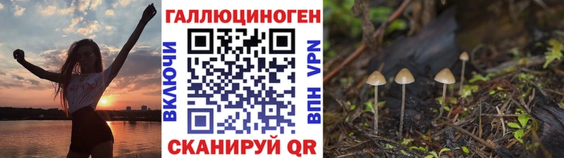 Псилоцибиновые грибы мицелий  даркнет сайт  ОМГ ОМГ зеркало  Рошаль 